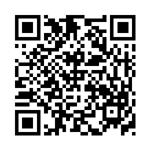 桂嬷嬷已经跟我说了明晚需要注意的事项二维码生成