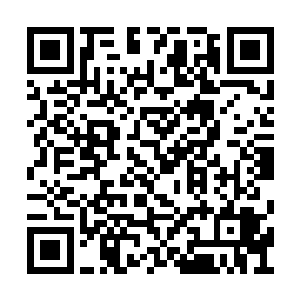 桂嬷嬷很是担心玉辰会让人送了长寿花到国公府二维码生成