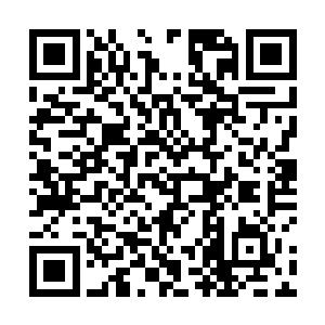 桃乐丝钱德勒大厅从几天之前就开始洋溢着节日的气氛二维码生成