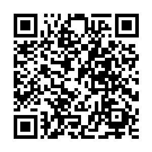 桃灼和桃霖那对极品夫妻居然会是修仙界五大门派之一的领袖二维码生成