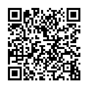 桌上的两个公公还有厂卫的百户们闻言全都愣住了二维码生成