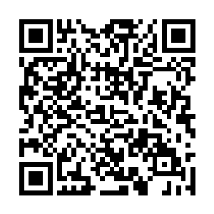 梁安想起刚来四年级的苏落连一亿金币都拿不出来二维码生成