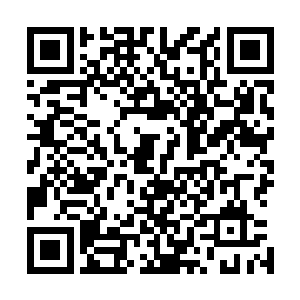 梁蓉和米灵站在不远处看着负手而立站在山崖边听海的苗毅二维码生成