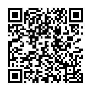 梅里克从纽约的黄页里找到和他们同名同姓的七个普通市民二维码生成