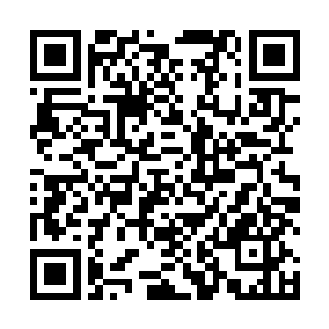 梓城最早确立了现代农业作为全县经济发展的主导产业二维码生成