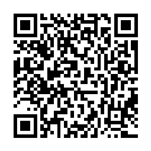 梓枫依旧是拿着望远镜向着高级娱乐会所的门前仔细观望二维码生成