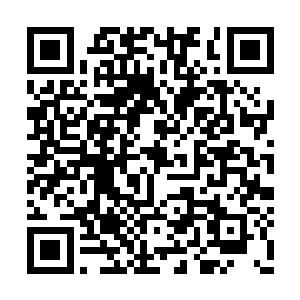 梓枫再次举起望远镜向着那被射中的活死人望去二维码生成