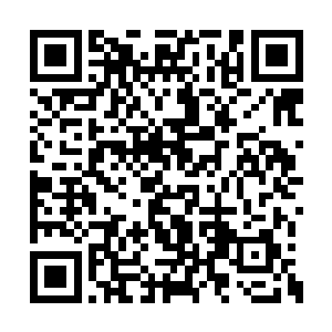 梓箐其实刚才亲眼看到苏佳怡被符宝干掉的场景二维码生成