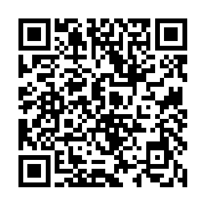 梓箐刚才为了避开在苏浩面前与苏佳怡正面发生冲突二维码生成