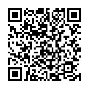 梓箐刚才魔怔的时间在她看来只是原主经历的最后一个场景二维码生成