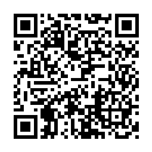 梓箐只是按照自己曾经享受到的一切来对待小艾二维码生成