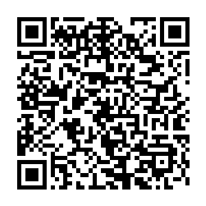 梓箐大概有些明白为什么这个末世背景的任务里会有这么多的玩家二维码生成