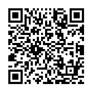 梓箐将所有的剧情信息以及那些因为崩坏剧情而崩坏了脑子的剧二维码生成