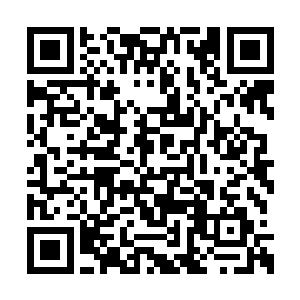 梓箐就像是第一次感觉自己拥有了非常非常非常二维码生成