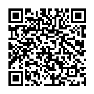 梓箐就是要在孩子面前树立这种绝对的护仔的形象二维码生成