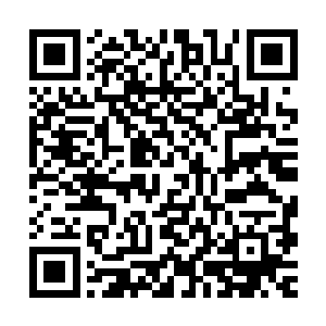 梓箐已经严重怀疑花灵表现出来的那种天真的样子是她装出来的二维码生成