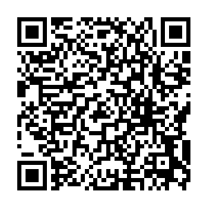 梓箐已经准备好狠狠教训这些仗着有主角光环恣意践踏别人尊严的小杂毛了二维码生成