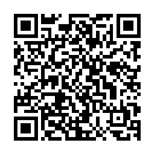 梓箐已经预估到自己先前做的巡逻者任务恐怕已经泄露出去了二维码生成