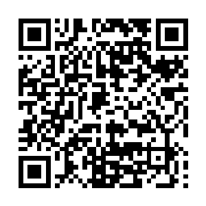 梓箐心中正想着何敏是怎么从父母哪里要到自己电话的二维码生成