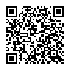 梓箐总结出来最有效的战术就是先下手为强后下手遭殃二维码生成