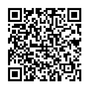 梓箐打算这次回到主神空间后就选一些攻击性法术二维码生成