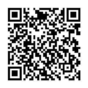 梓箐有更多时间修炼……她也懒得去找那些麻烦的生财门道了二维码生成