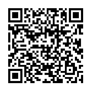 梓箐潜藏在灵魂中的探索和冒险因子已然蠢蠢欲动二维码生成