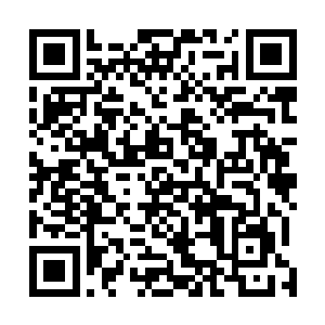 梓箐现在最为依仗的其实并非后来又神秘莫测的宇宙魔方二维码生成