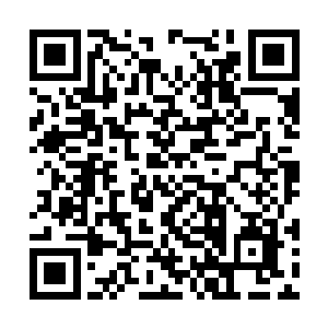 梓箐的龙吼成功转移了人们想要轻功杀魔的注意力二维码生成