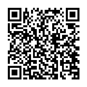 梓箐看到已然被抽了魂魄的穿山甲身体猛地扭动……眉头皱起二维码生成