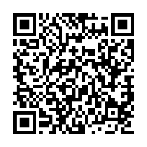 梓箐看着在摄魂幡的囚牢里疯狂左冲右突的女子二维码生成