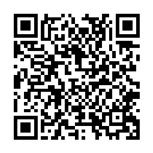 梓箐看着屏幕上密密麻麻的一页又一页的调查数据二维码生成