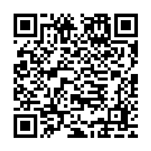 梓箐看见她就会不由自主想起在主神空间她委托任务时嚣张样子二维码生成