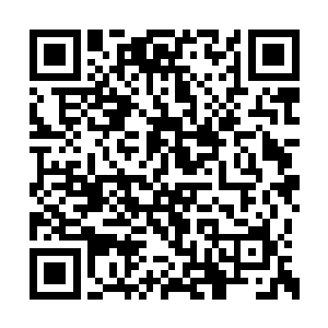 梓箐能在两个高级玩家手上活下来已经是万幸了二维码生成