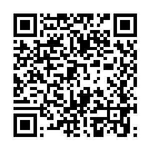 梓箐虽不至于像原主记忆中那般被完全压住的凌虐二维码生成