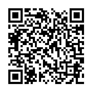 梓箐觉得自己以后完全可以把这些烹饪方法记下来二维码生成