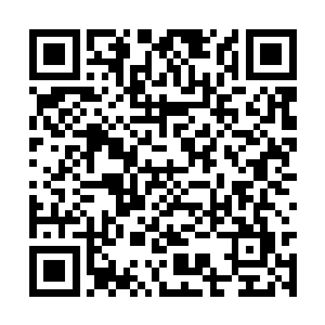 梓箐试着用灵力缓慢滋养萎缩的神经…两个小时后二维码生成