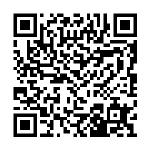 梓箐连让他们重新堕入轮回的机会都不会给他们二维码生成