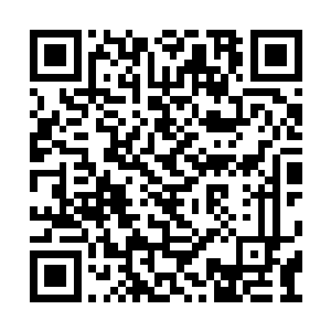 梦无真赫然将他的身份放置到了西方天地太子上二维码生成