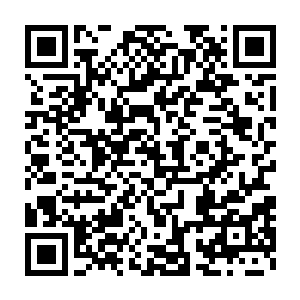 梦老五才真正明白君北月方才那么斩钉绝铁的说不可能留下的真正意思二维码生成