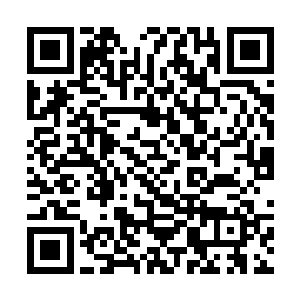 梦魇九头蛇庞大的身躯丝毫停滞都没有的通过了巨门二维码生成