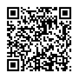 梦魇九头蛇张开了九对足以遮蔽一整个世界的魔鬼肉翼二维码生成