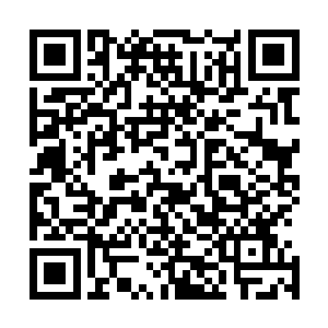 梳着大背头脑后扎着一根小辨的造型极为怪异的中年导演道二维码生成