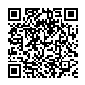 梵天和白面领着各自的男朋友来到了两人的秘密基地二维码生成