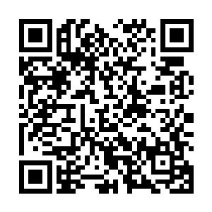森特的金轮斗神和科德的屠戮者有点复刻上一场的战斗二维码生成