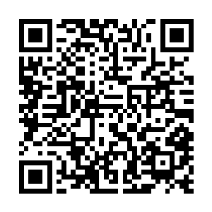 楚伯立刻带着公主殿下以及木道人来到了一个小型的会议室二维码生成