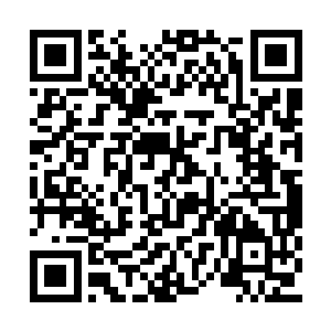 楚墨寒低头看向眼中带着担忧望着自己的小娘子二维码生成