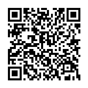 楚天中杵在那石门门口良久都是没有下一步动作二维码生成