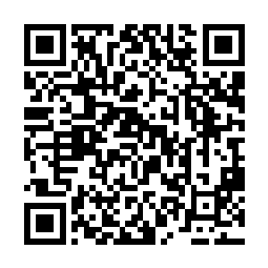 楚天机的攻击速度和他的闪躲速度全都计算在里面的二维码生成