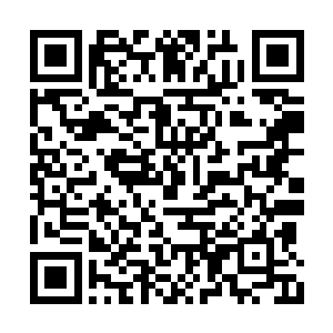 楚子厚一边吩咐香儿一边抱着沈喜臻往里间走去二维码生成